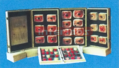 EYE BRAIN MODEL & TONGUE DISGNESIS MODEL (30 PCS)